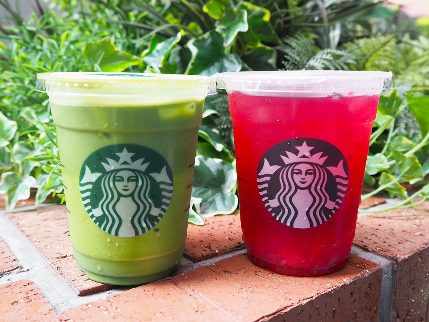 スタバ新作】夏に楽しむ新作ティービバレッジ！『ダブル抹茶ティーラテ