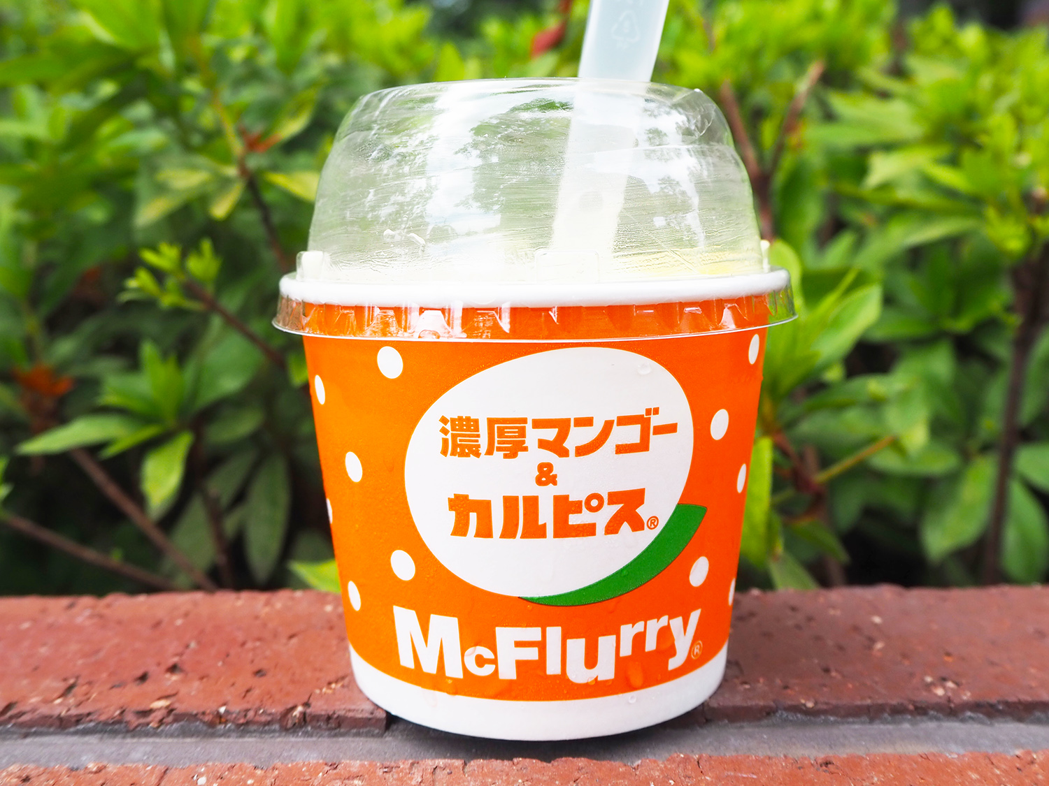 【マクドナルド新作】初のマンゴー果肉入り!期間限定「マックフルーリー®濃厚マンゴー&カルピス® 」をレポ♪