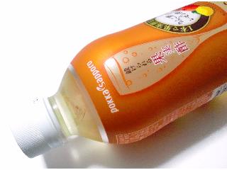 「ポッカサッポロ フルーツビネガースパークリング りんご酢＆レモン酢 ペット500ml」のクチコミ画像 by つなさん