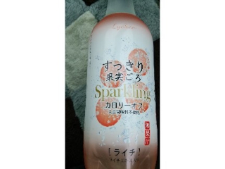 「大塚食品 すっきり果実ごろスパークリング ライチ ペット450ml」のクチコミ画像 by ﾙｰｷｰｽﾞさん