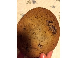 「ローソン ソフトクッキーチョコレートチャンク 袋1個」のクチコミ画像 by milkypokoさん
