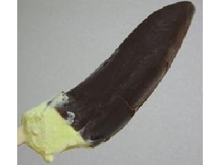「FUTABA チョコバナナ 袋80ml」のクチコミ画像 by おぼろづきさん