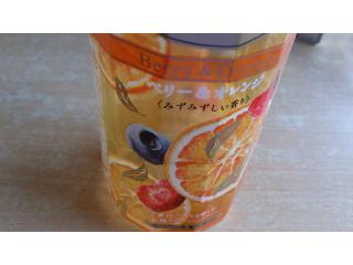「KIRIN 午後の紅茶 ヨーロピアンスタイル ベリー＆オレンジ ペット500ml」のクチコミ画像 by コンビニパン美味しくなったよね！さん