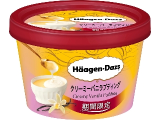 ハーゲンダッツ ミニカップ クリーミーバニラプディング カップ99ml