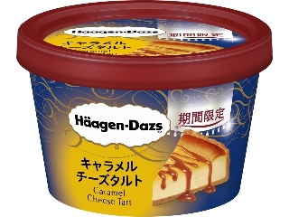 ハーゲンダッツ ミニカップ キャラメルチーズタルト カップ110ml