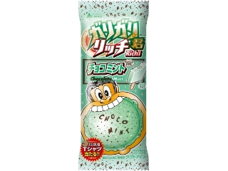 赤城 ガリガリ君リッチ チョコミント 袋100ml