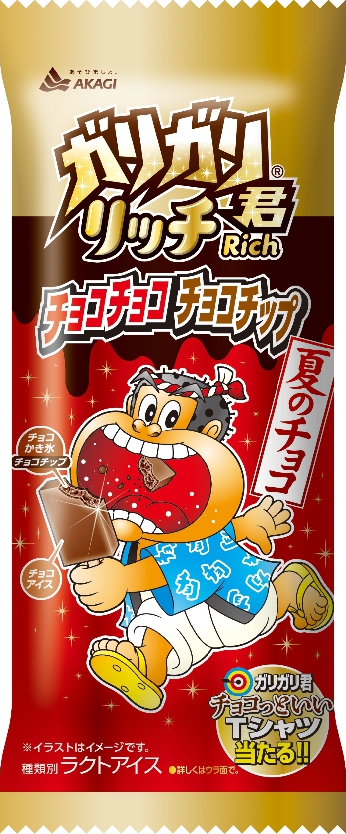 赤城乳業 ガリガリ君リッチ チョコチョコチョコチップ