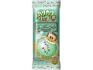 赤城 ガリガリ君リッチ チョコミント 袋100ml