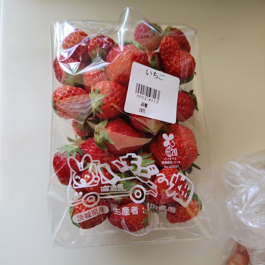 フルーツサンドで広がる新しい食の楽しみ方