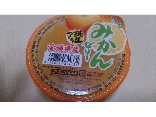 「えひめ中央農業協同組合 純正づくり みかんゼリー」の商品情報