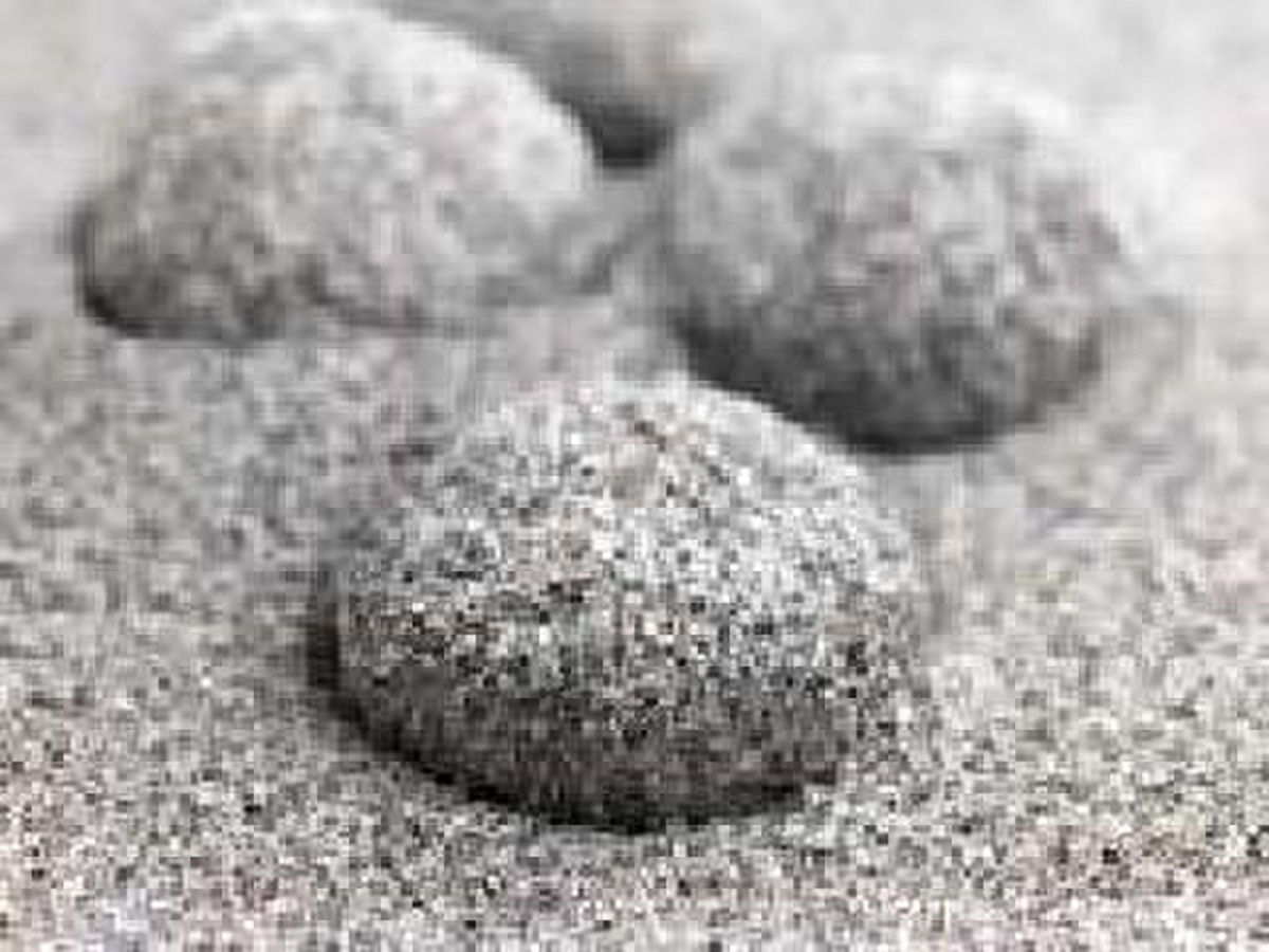 高評価 おはぎ 黒ごま 口福堂 おはぎ のクチコミ 評価 Taktak99さん もぐナビ