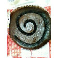 ヤマザキ ベルギーチョコのベイクドケーキ 商品写真 2枚目