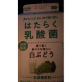 日清ヨーク はたらく乳酸菌白ぶどう 商品写真 1枚目