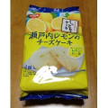 日清シスコ しっとりケーキ 瀬戸内レモンのチーズケーキ 商品写真 1枚目