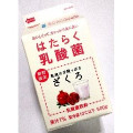 日清ヨーク はたらく乳酸菌ざくろ 商品写真 1枚目