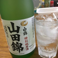 白鶴 特撰 特別純米酒 山田錦 商品写真 4枚目