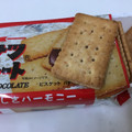 日清製菓 バターココナツサンドチョコレート 商品写真 4枚目