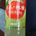 伊藤園 Vivit’s 日本の林檎 Sparkling 商品写真 2枚目