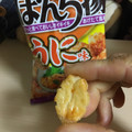 ぼんち ぼんち揚 うに味 商品写真 2枚目