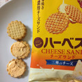 東ハト ハーベスト チーズサンド 三種のチーズ 商品写真 3枚目