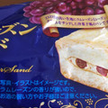 フジパン 漬け込みレーズンバターサンド 商品写真 4枚目