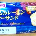 フジパン 漬け込みレーズンバターサンド 商品写真 3枚目