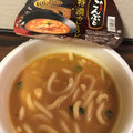 日清食品 特濃カレーうどん 商品写真 2枚目