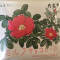 六花亭 ミルクチョコレート 商品写真 2枚目
