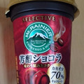 マウントレーニア SELECTIVE 芳醇ショコラ 商品写真 3枚目