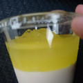 セブン-イレブン 沖縄県産シークワーサーのレアチーズ 商品写真 5枚目