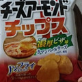 三幸製菓 チーズアーモンドチップス 濃厚ピザ味 商品写真 2枚目