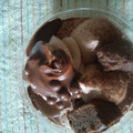 ミニストップ MINISTOP CAFE 4層仕立ての生チョコレートケーキ 商品写真 4枚目