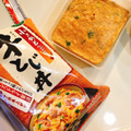 アマノフーズ 小さめどんぶり 牛とじ丼 商品写真 2枚目