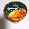 FUTABA 中山かぼちゃアイスクリーム 商品写真 5枚目