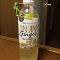 伊藤園 JIN JIN Ginger 商品写真 1枚目