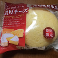 木村屋 ジャンボむしケーキ 濃厚チーズ 商品写真 4枚目