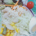 ローソン 玉子と蒸し鶏の生野菜サラダ 商品写真 2枚目
