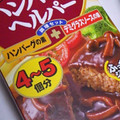 ハウス 煮込みハンバーグヘルパー 商品写真 1枚目