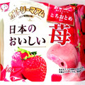 不二家 カントリーマアム 日本のおいしい苺 商品写真 4枚目