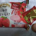 不二家 カントリーマアム 日本のおいしい苺 商品写真 3枚目
