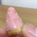 明治 たけのこの里 いちご プチパック 商品写真 3枚目