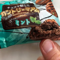 不二家 チョコを愉しむカントリーマアム ほんのりミント 商品写真 4枚目