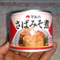 マルハニチロ さばみそ煮 商品写真 5枚目