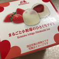 森永製菓 まるごと小粒苺のひとくちアイス 商品写真 3枚目