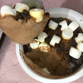 セブン-イレブン マックス ブレナー チョコレートチャンクアイスクリーム 商品写真 4枚目