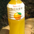 ヤマザキ なごみ果実 オレンジ 商品写真 2枚目