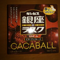 ギンビス 銀座＠ラスク CACABALL ビターチョコレート 商品写真 4枚目