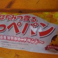 フジパン はちみつ香るこっぺパン 北海道産練乳ホイップサンド 商品写真 1枚目