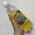 コカ・コーラ ファンタ W＋ パイナップルギャバ 商品写真 3枚目