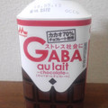 森永 GABA au lait チョコレート 商品写真 2枚目